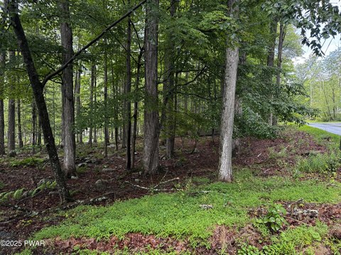 Residential Land Near Lake Wallenpaupack