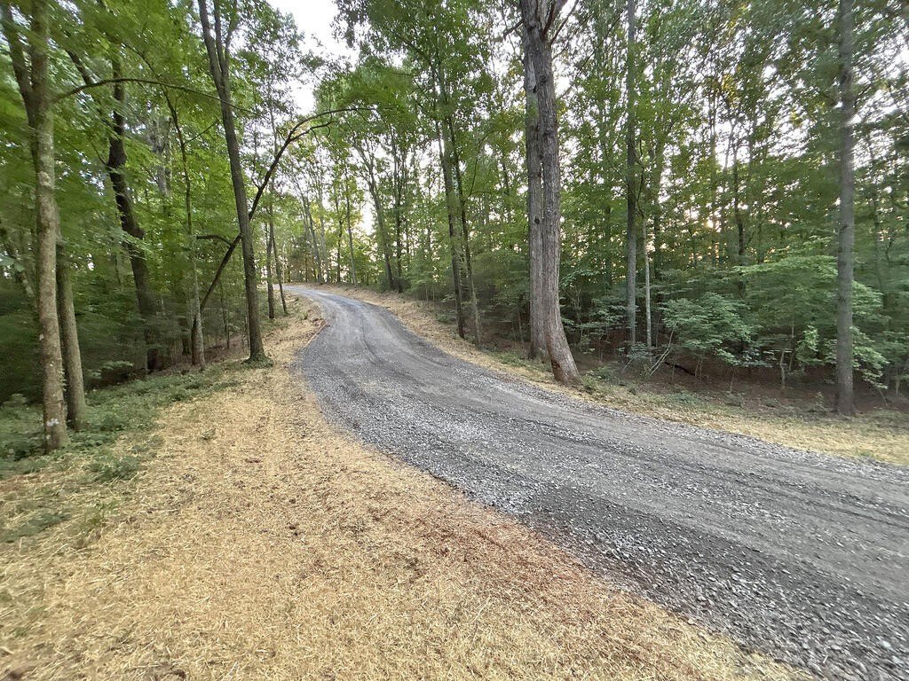 Picture 42