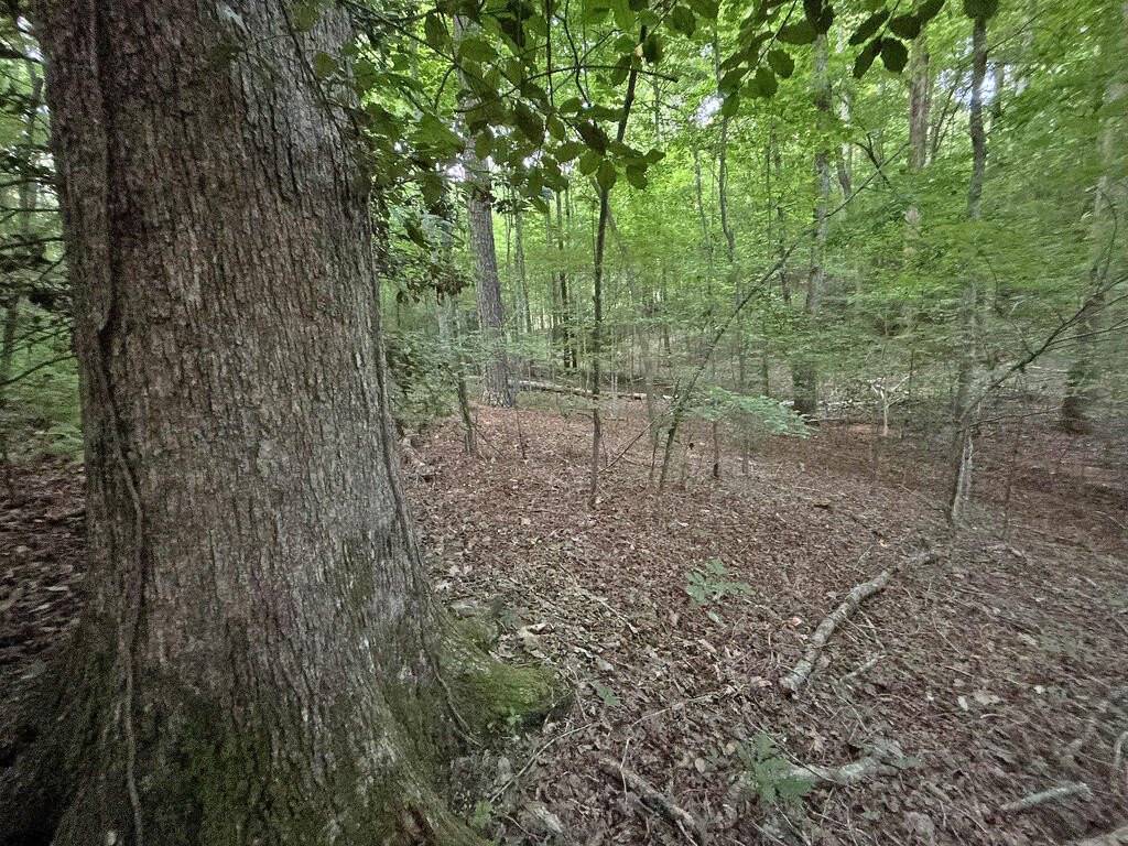 Picture 43