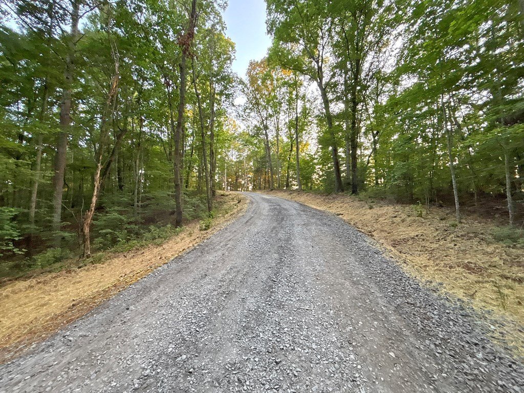 Picture 20