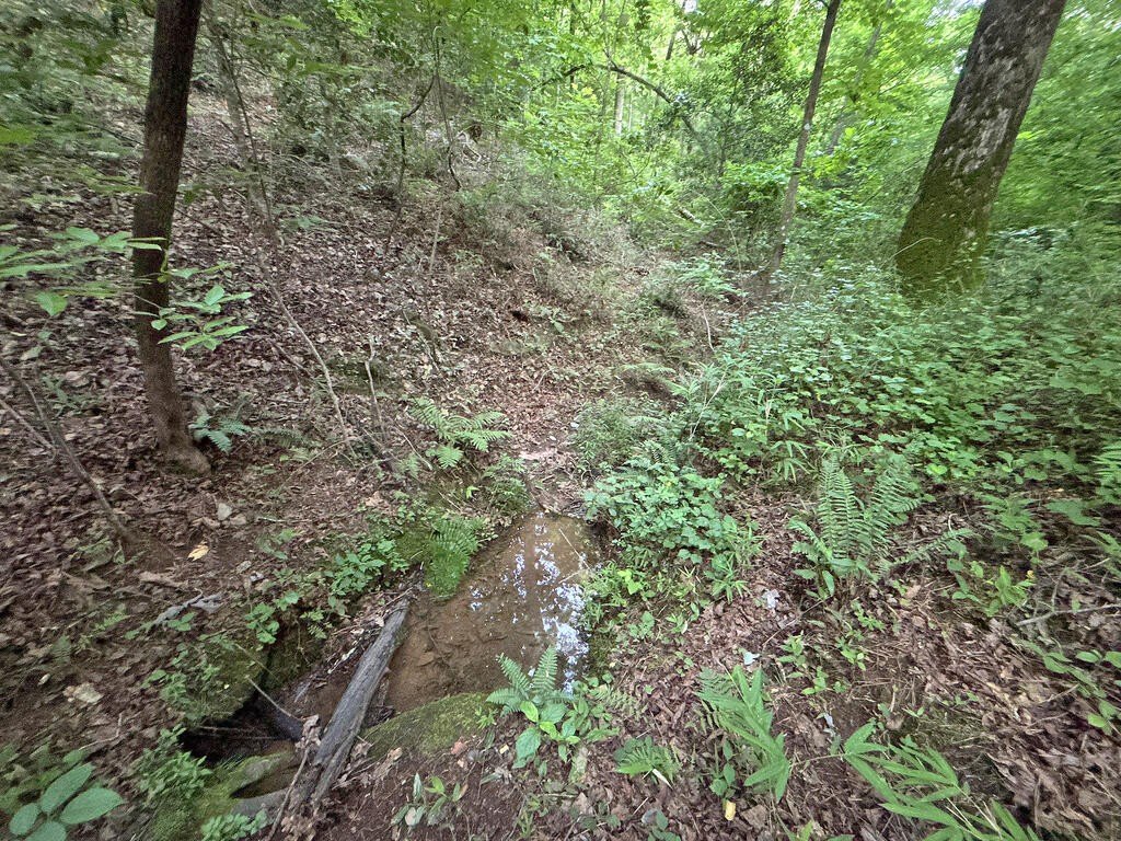 Picture 51