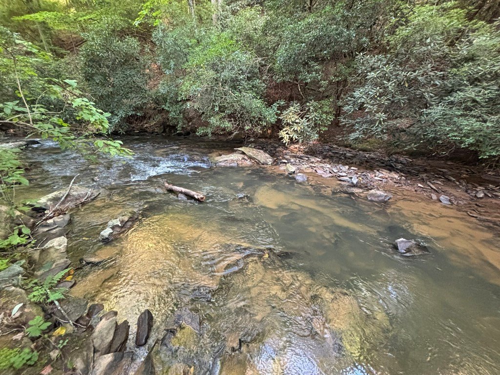 Picture 27