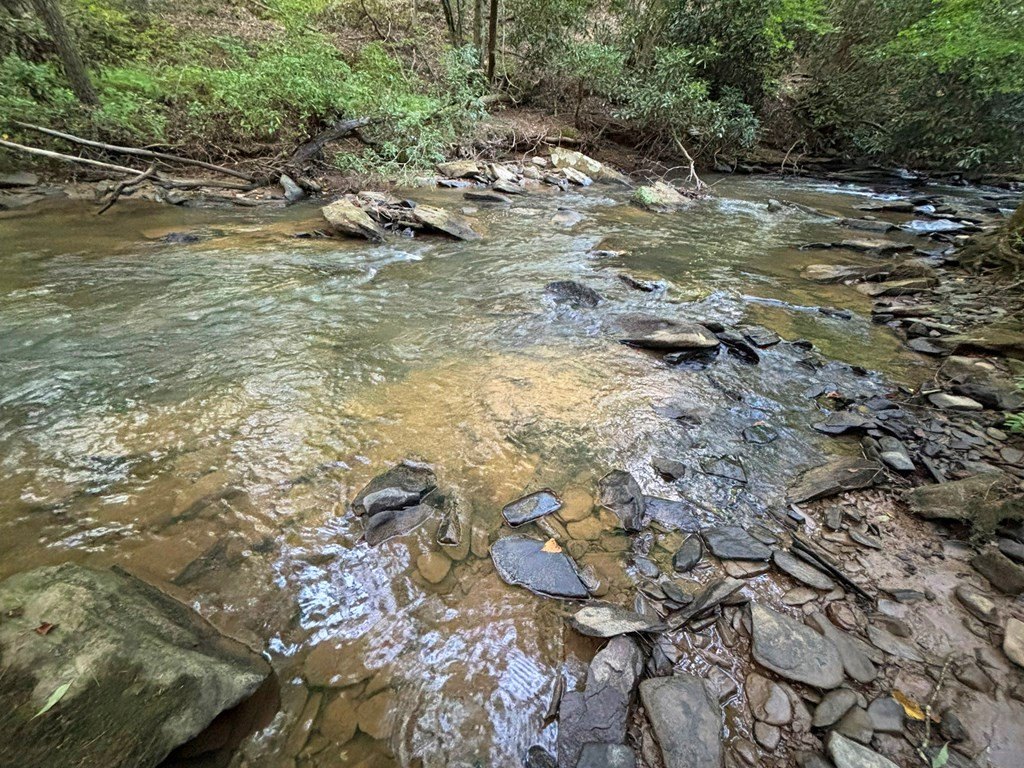 Picture 25