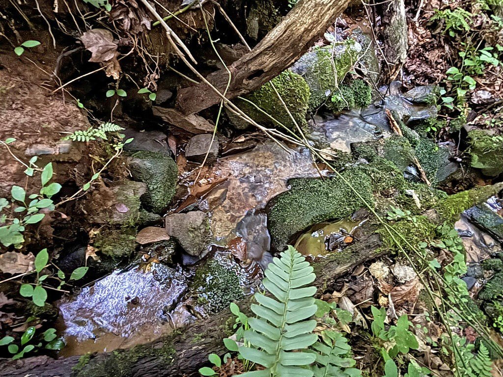Picture 44