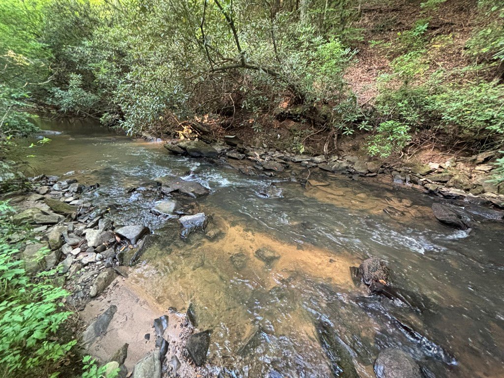 Picture 29