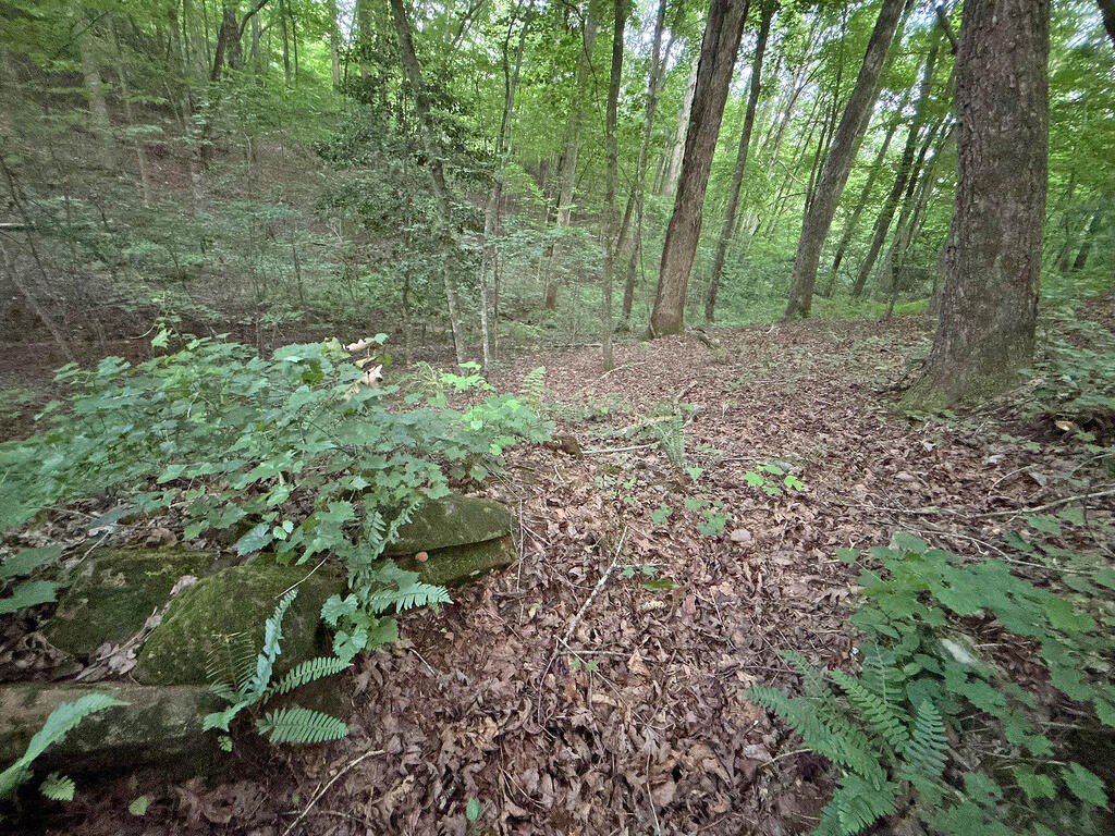 Picture 52