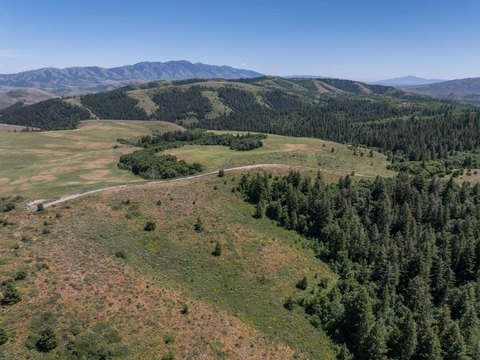 Forested Mountain-View Land