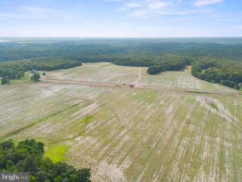 Buildable Wooded Homesite in King George