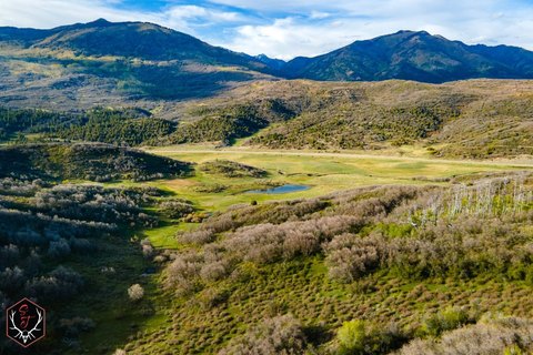 Recreational Hunting Ranch with Water