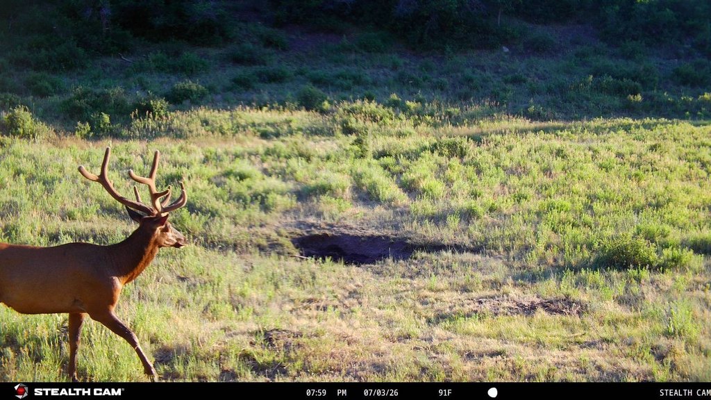 Picture 35