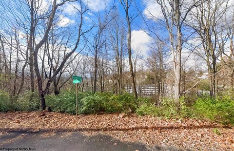 Vacant Land Near WVU Campus