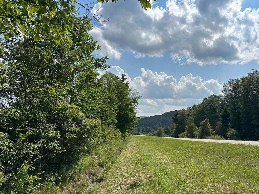 Picture 28