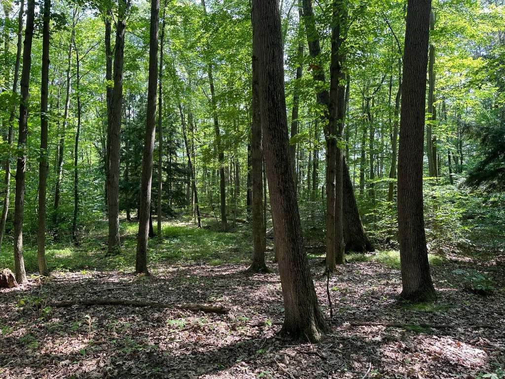 Picture 22