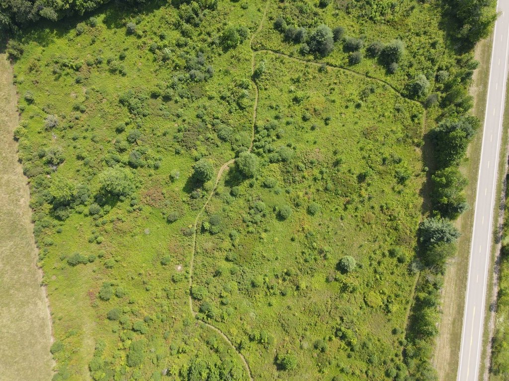 Picture 12