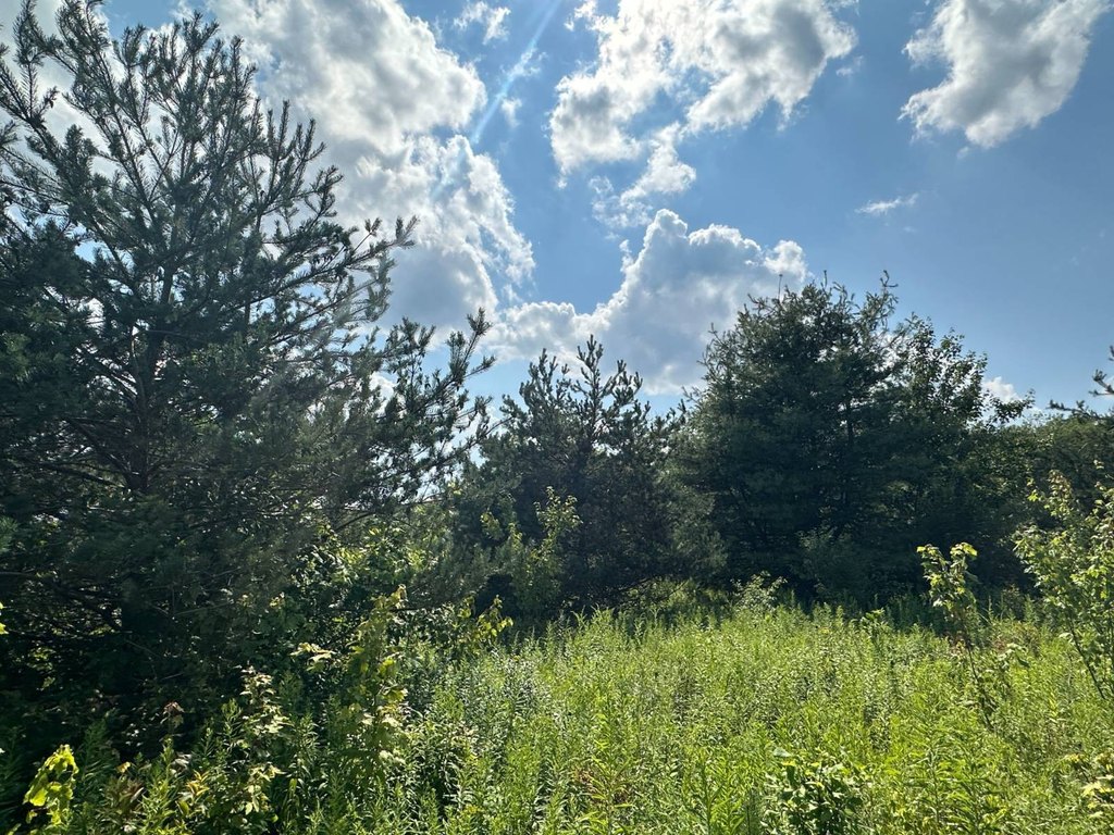 Picture 26