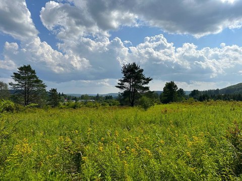 Hunting Land with County Road Frontage
