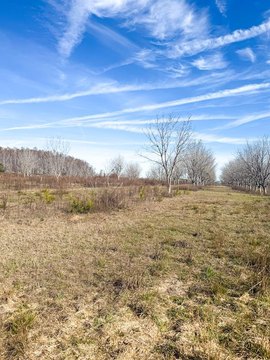 2+ Acre Homesite in Naylor, GA