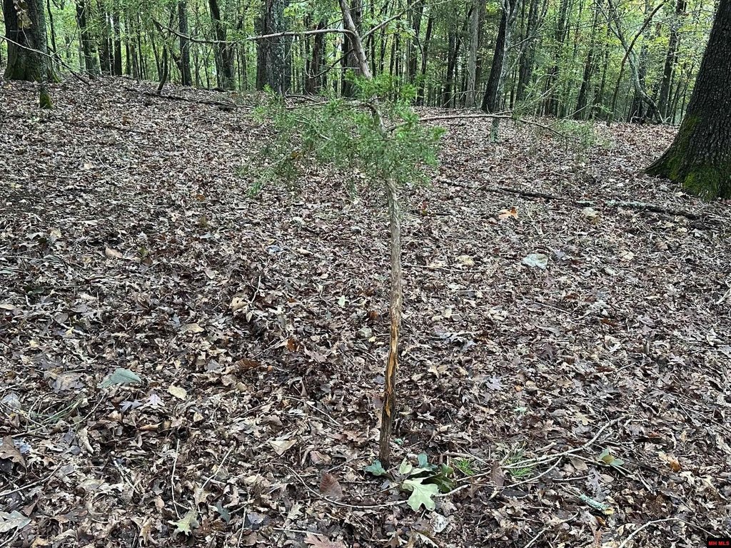 Picture 19
