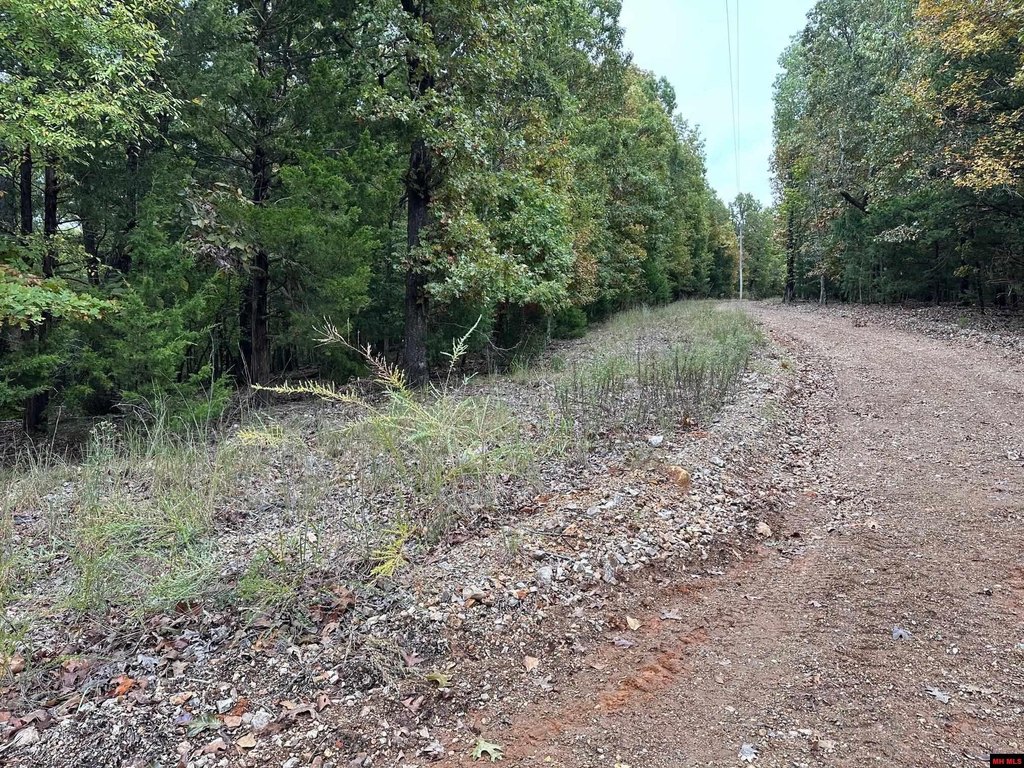 Picture 14