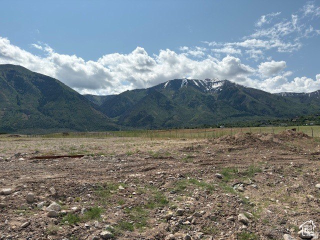 Picture 4