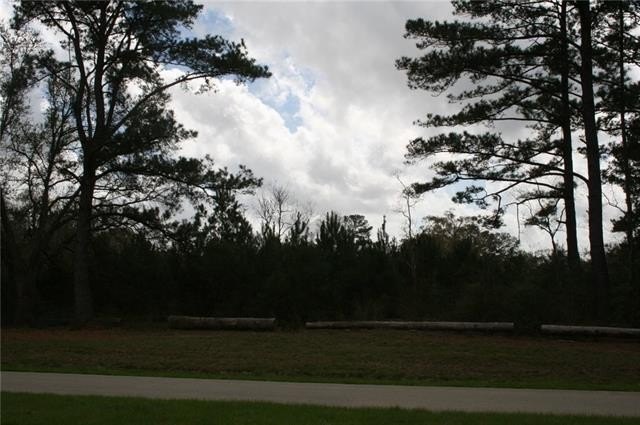 Picture 10
