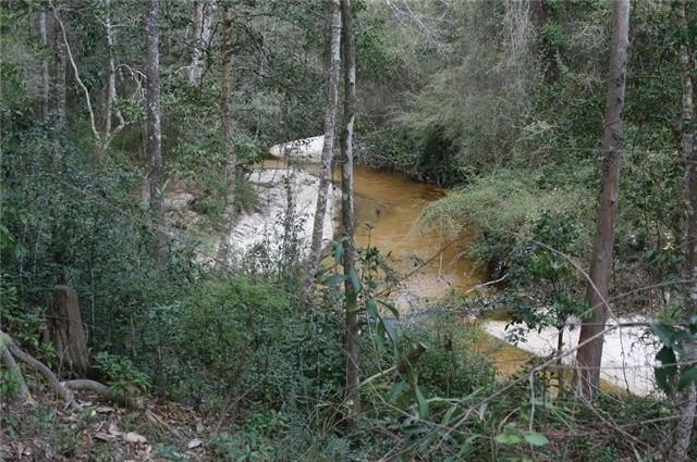 Picture 23