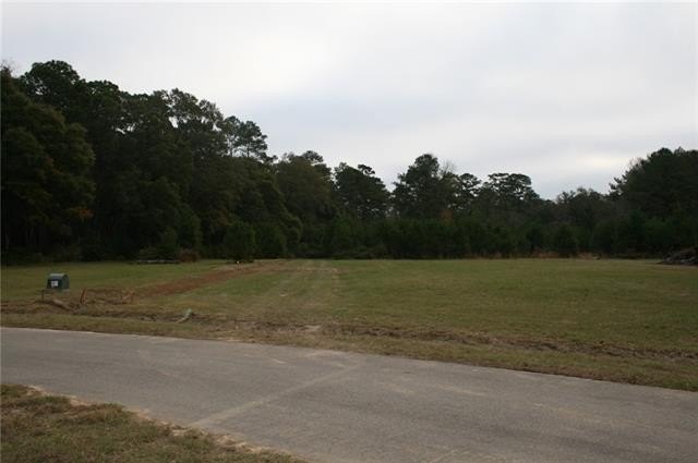 Picture 31