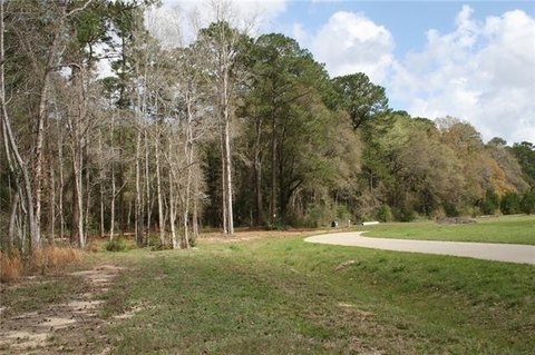 Covington Land in Nature Preserve