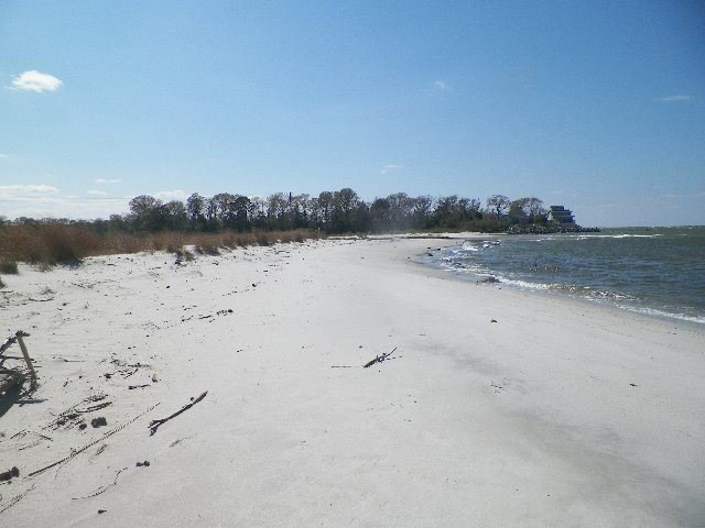 Picture 2