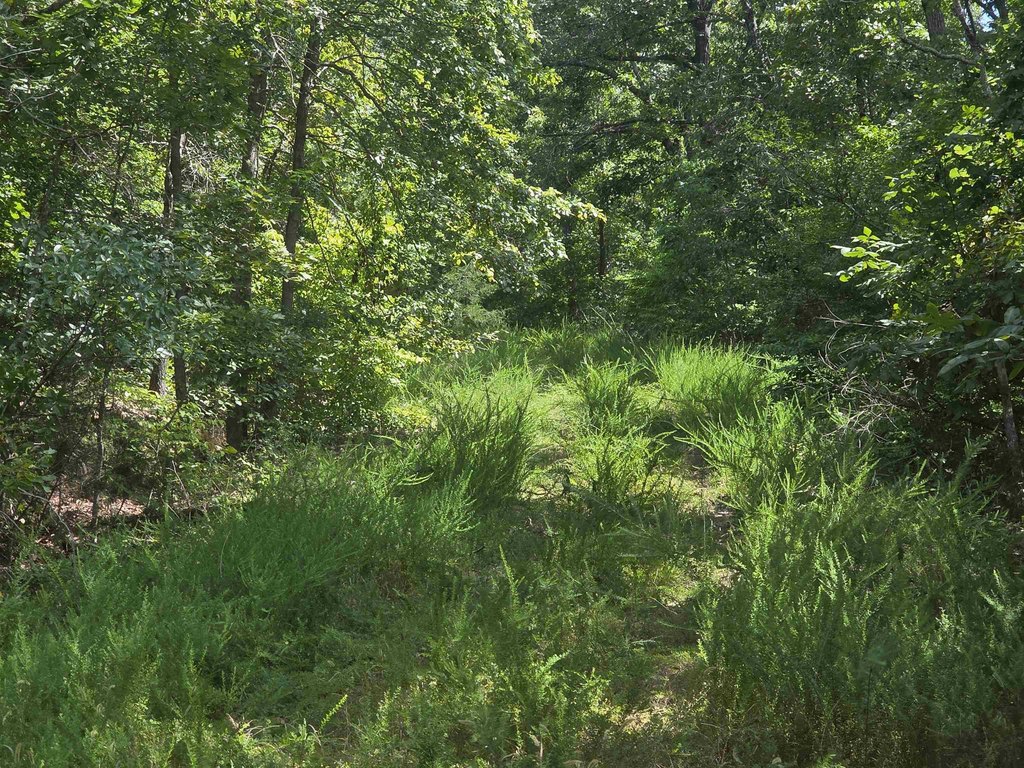 Picture 16