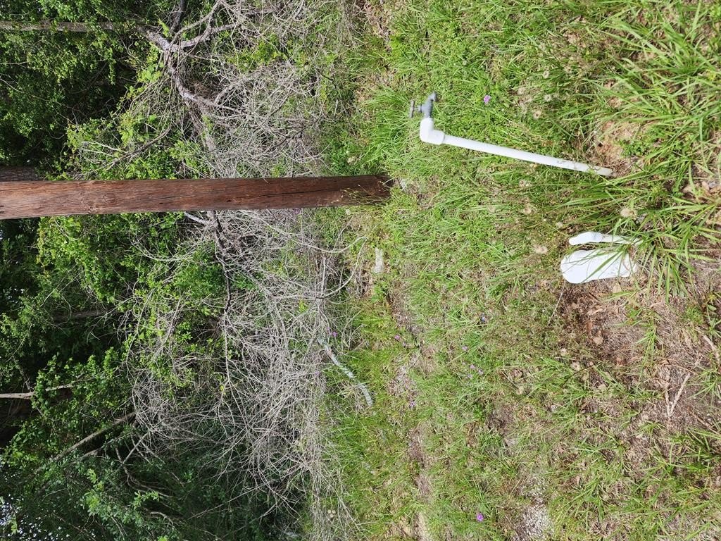 Picture 12