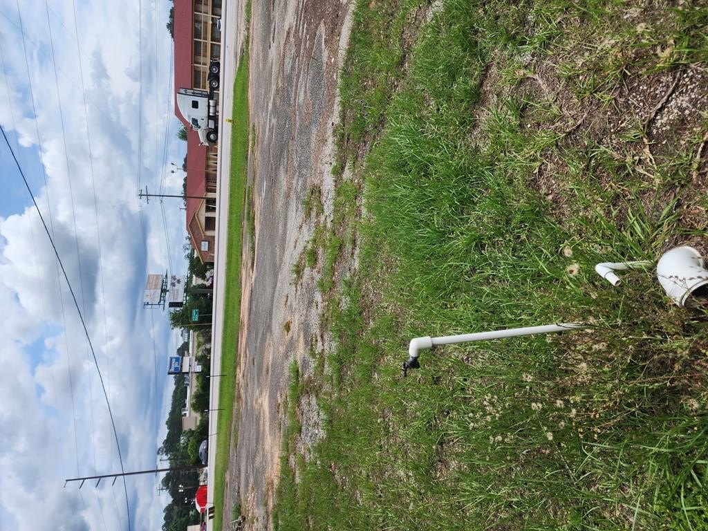 Picture 13