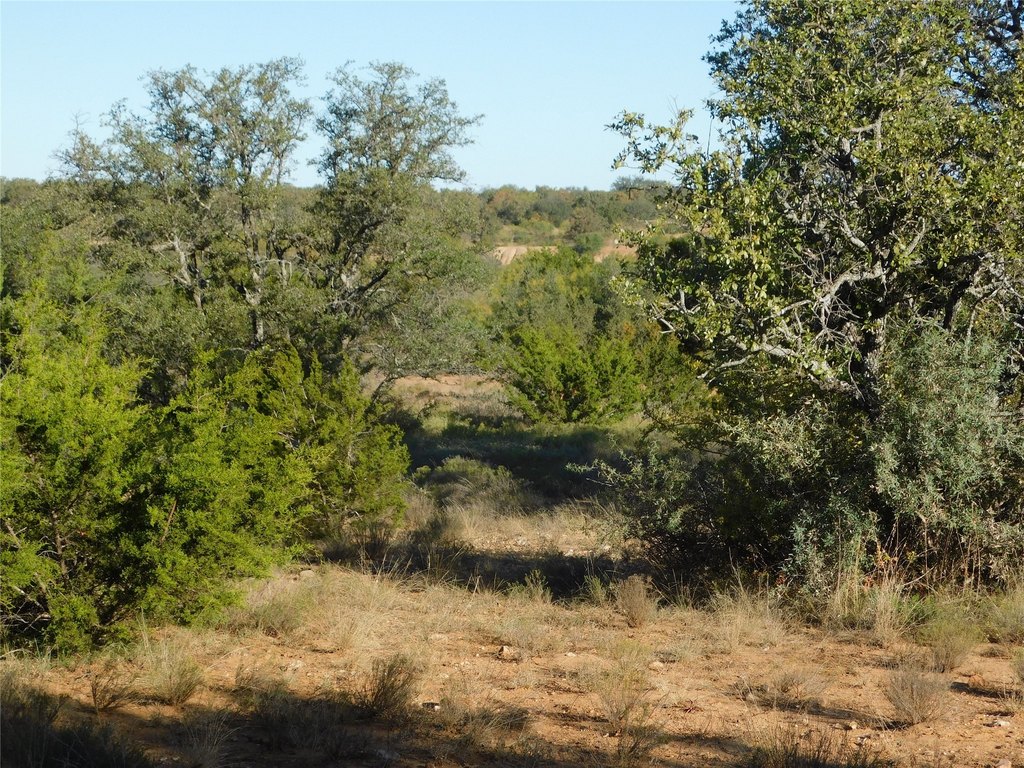 Picture 18