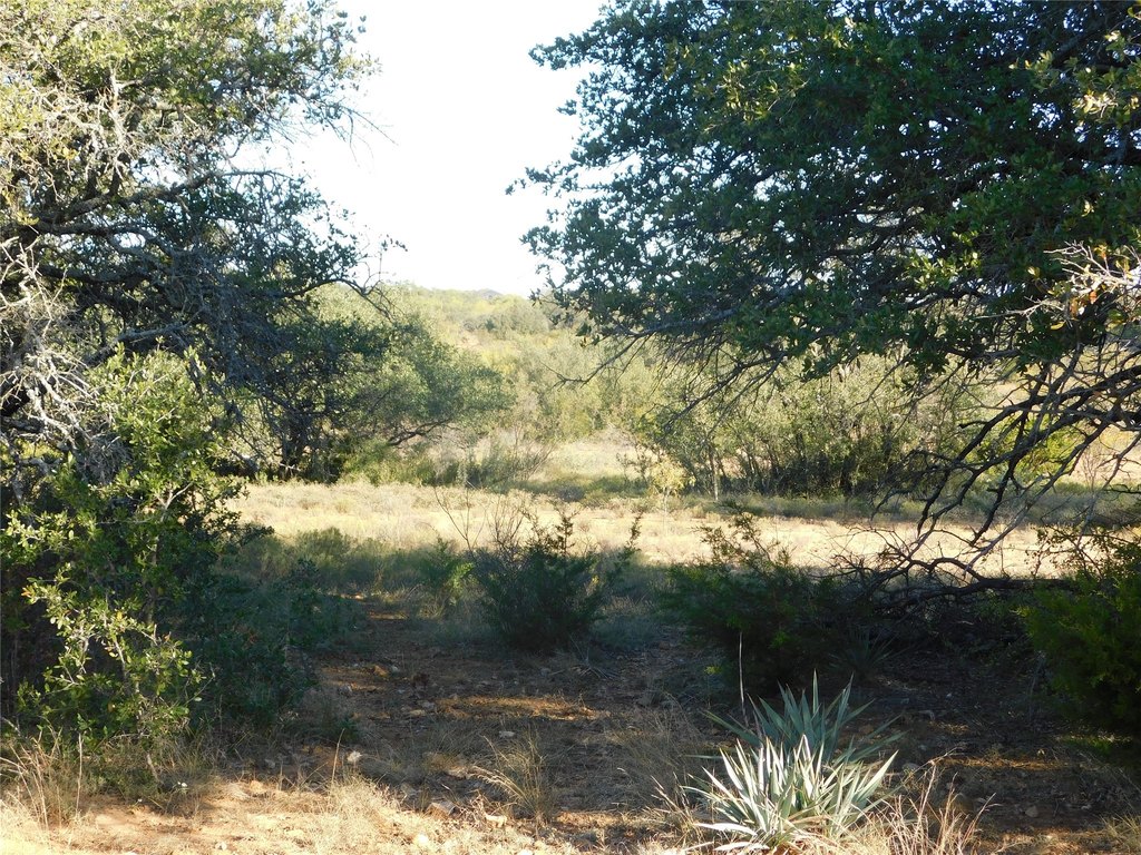 Picture 16