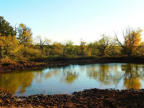 Ranch-Style Acreage with Views