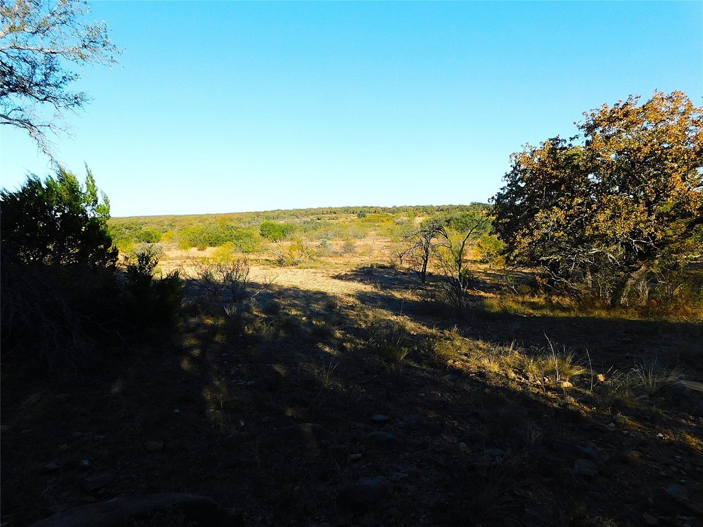 Picture 8