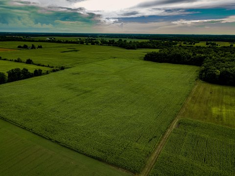 Productive Farmland in Pittsford, MI