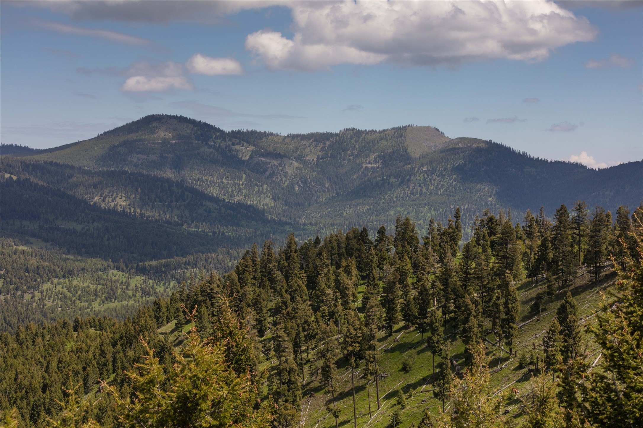 Montana Land in Garnet Range