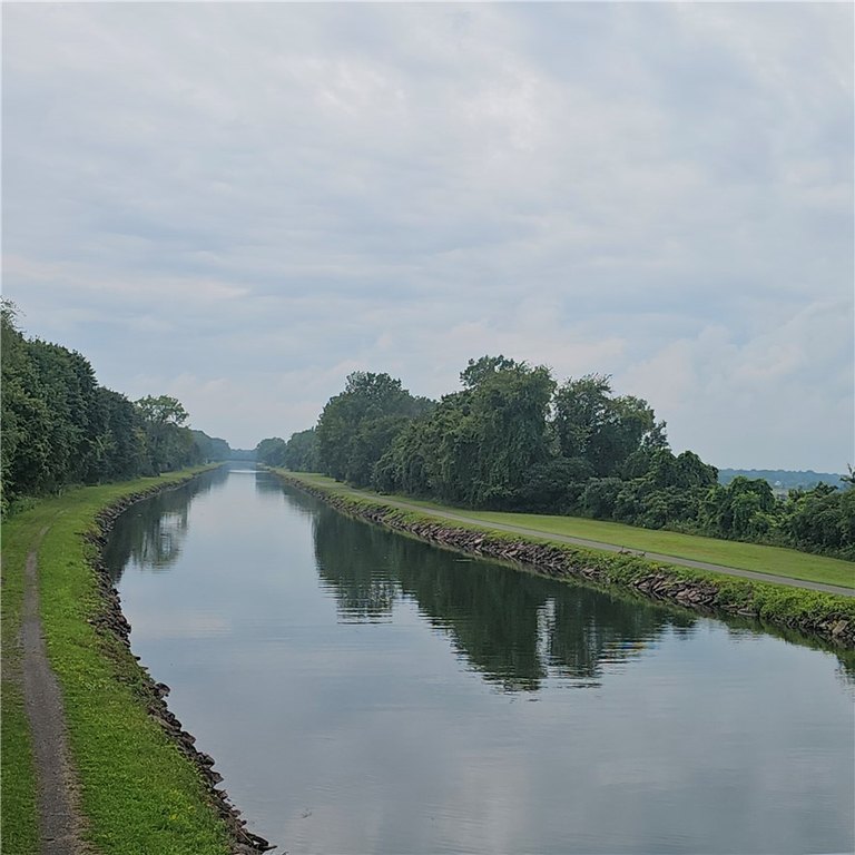 Picture 14
