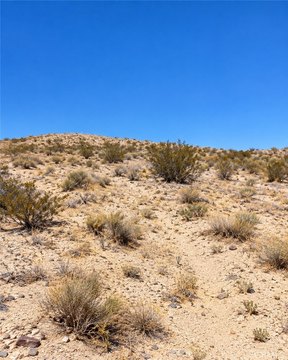 Land, 29 Palms, CA