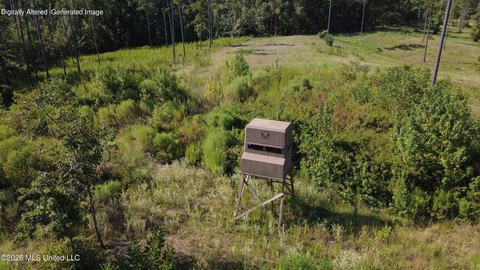 Land, Utica, MS