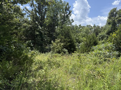 Land, Willow Springs, MO