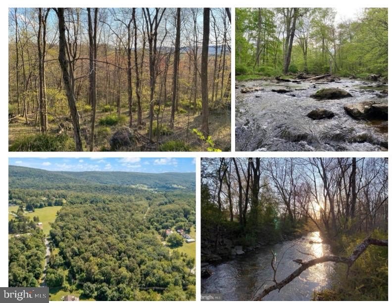 Ready-to-Build 18-Acre Wooded Lot