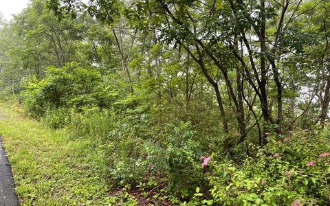 Brasstown NC Land For Sale