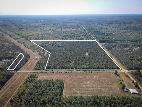 Wooded Acreage in Ferry Township