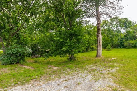 Treed Residential Lot