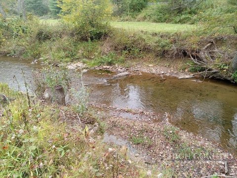 Land, Laurel Springs, NC