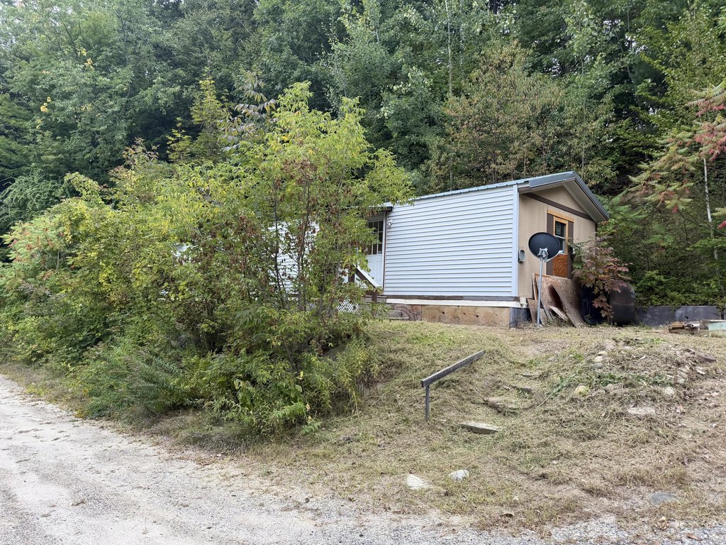 Picture 4