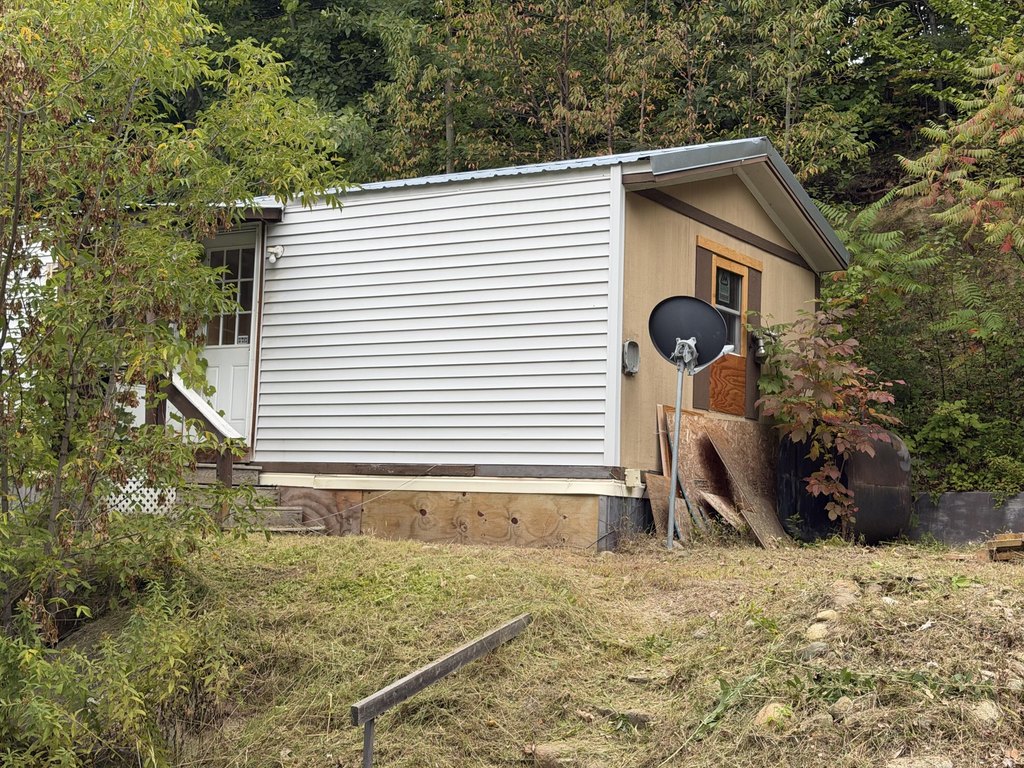 Picture 5