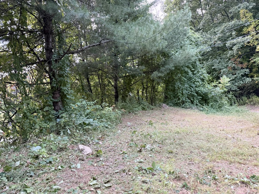 Picture 42